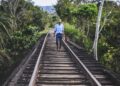 Declara Fonatur desierta licitación de Tramo 5 del Tren Maya