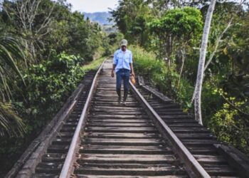 Declara Fonatur desierta licitación de Tramo 5 del Tren Maya