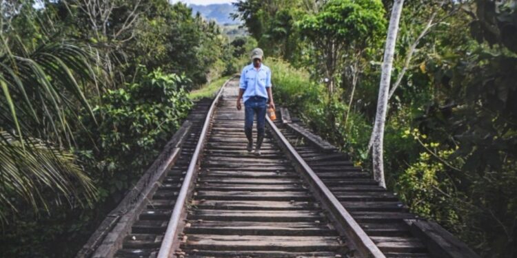 Declara Fonatur desierta licitación de Tramo 5 del Tren Maya