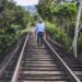 Declara Fonatur desierta licitación de Tramo 5 del Tren Maya