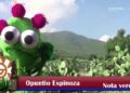INAH lanza primer noticiero arqueológico realizado por niñas y niños