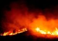 Enorme incendio forestal en California amenaza a más de mil viviendas