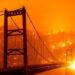 Incendios forestales arrasan la costa oeste de EEUU y dejan seis muertos