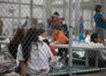 Denuncian esterilizaciones masivas en centros migrantes de EU