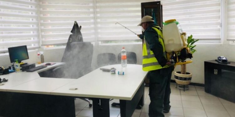 Burócratas regresarán hasta finales de octubre a oficinas, dice AMLO