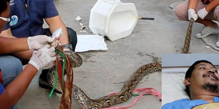 #Video Serpiente le muerde el pene cuando estaba en inodoro