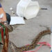 #Video Serpiente le muerde el pene cuando estaba en inodoro