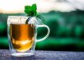 Té verde: cómo reutilizarlo para embellecer la piel y el cabello