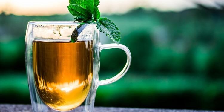 Té verde: cómo reutilizarlo para embellecer la piel y el cabello