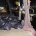 Encuentran abandonadas bolsas con medicamentos oncológicos robados