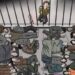Human Rights Watch revela el brutal sistema de prisión preventiva en Corea del Norte