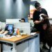 Estudio chino contrata una alpaca para desestresar a sus empleados