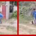 #Video Captan a hombre que mata a una perrita a machetazos