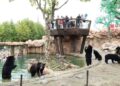 #Video Osos devoran cuidador de parque ecológico frente a turistas