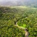 Casi el 40% de la selva amazónica podría convertirse en sabana
