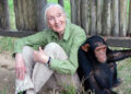 Los 3 desafíos a superar para abordar el cambio climático: Jane Goodall