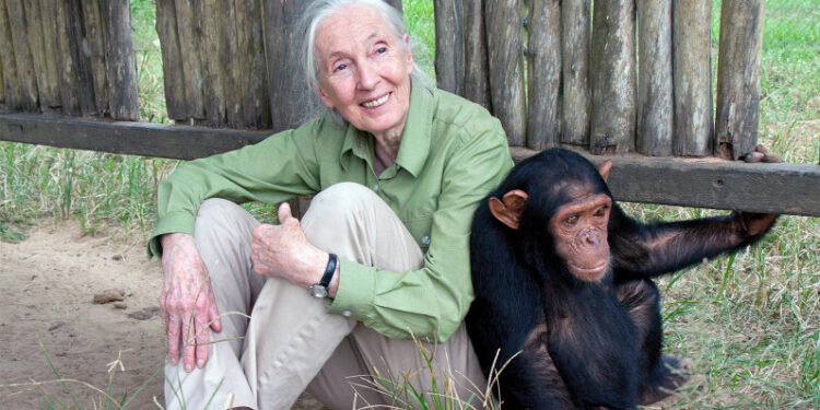 Los 3 desafíos a superar para abordar el cambio climático: Jane Goodall