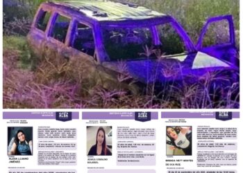 Cuerpos calcinados en Guanajuato podrían ser de mujeres desaparecidas en Michoacán