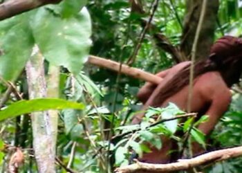 El hombre del agujero: El último sobreviviente de una tribu virgen