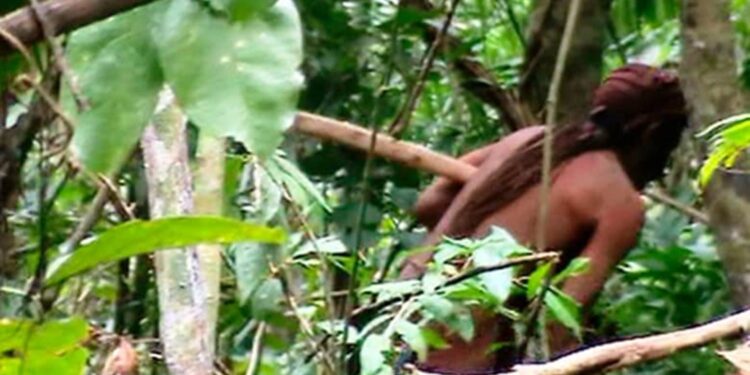 El hombre del agujero: El último sobreviviente de una tribu virgen