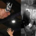 Muere el luchador Príncipe Aéreo en pleno combate