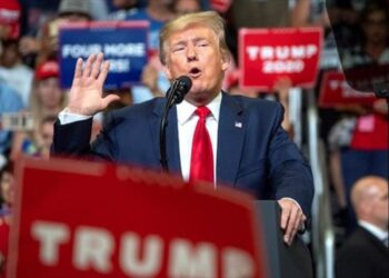 Mujeres suburbanas por favor, yo salve sus malditos barrios: Trump