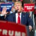 Mujeres suburbanas por favor, yo salve sus malditos barrios: Trump