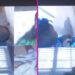 Mamá desnuda aparece por accidente en cámara durante clase online