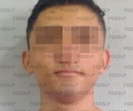 Detenido por robo de infante en Tampamolón