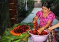 La leyenda escondida del zacahuil, tradición culinaria de la Huasteca