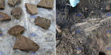 Encuentran restos óseos y vasijas de origen prehispánico en Valle de Santiago, Gto