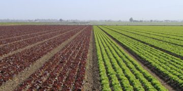 Agricultura tradicional, garantía de salud y bienestar socioecológico