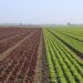 Agricultura tradicional, garantía de salud y bienestar socioecológico