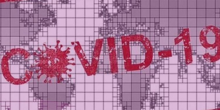 Crisis del Covid-19 exhibe modelo de privilegios: Cepal y Dilma Rousseff