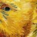 Van Gogh y su obsesión por el amarillo, pudo ser causa de una enfermedad
