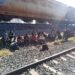 Detienen a 55 migrantes hondureños en Puebla