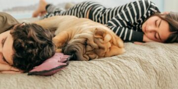 Es necesario dormir la siesta, la ciencia dice