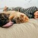 Es necesario dormir la siesta, la ciencia dice