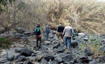 Al menos 59 cadáveres fueron hallados en fosas clandestinas de Guanajuato