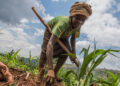 La salud, el trabajo y la comida: lo que el COVID-19 se llevó en los países más pobres