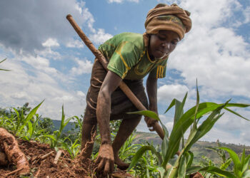 La salud, el trabajo y la comida: lo que el COVID-19 se llevó en los países más pobres