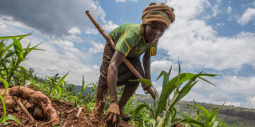 La salud, el trabajo y la comida: lo que el COVID-19 se llevó en los países más pobres