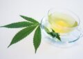 Té de Cannabis, una bebida medicinal y milenaria