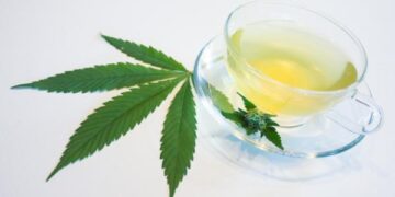 Té de Cannabis, una bebida medicinal y milenaria