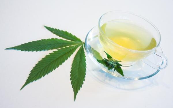 Té de Cannabis, una bebida medicinal y milenaria
