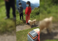 Niños le ponen cubrebocas a su perro para llevarlo a vacunar contra la rabia