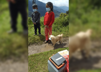 Niños le ponen cubrebocas a su perro para llevarlo a vacunar contra la rabia