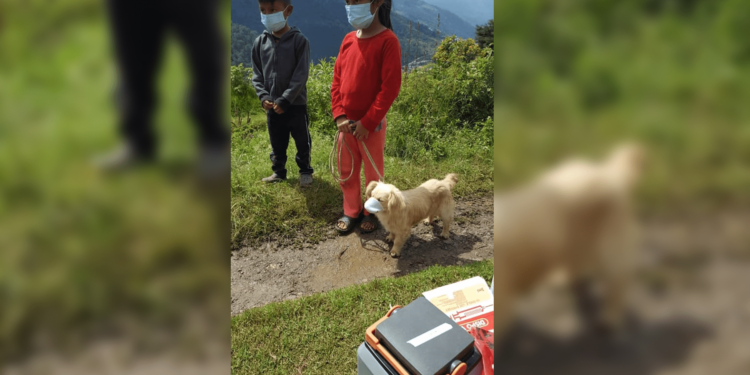 Niños le ponen cubrebocas a su perro para llevarlo a vacunar contra la rabia