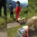 Niños le ponen cubrebocas a su perro para llevarlo a vacunar contra la rabia