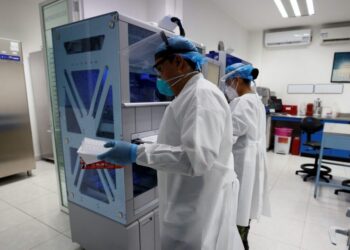 OMS: 10% de la población mundial ha tenido covid-19